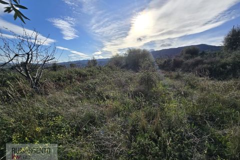 Terra a Alpedrinha, Castelo Branco, Alpedrinha - € 55.000 | Ref: SÒL_249RS140326 - foto 24
