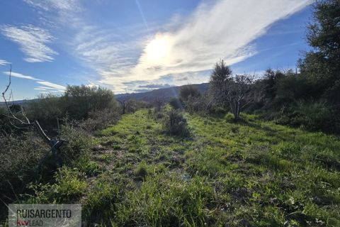 Terra a Alpedrinha, Castelo Branco, Alpedrinha - € 55.000 | Ref: SÒL_249RS140326 - foto 25