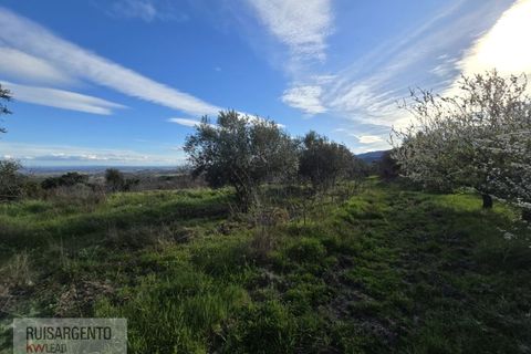 Terra a Alpedrinha, Castelo Branco, Alpedrinha - € 55.000 | Ref: SÒL_249RS140326 - foto 26