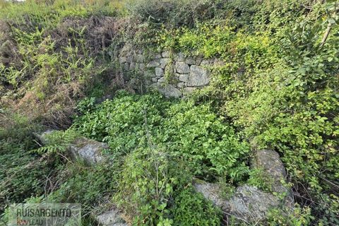 Terra a Alpedrinha, Castelo Branco, Alpedrinha - € 55.000 | Ref: SÒL_249RS140326 - foto 27