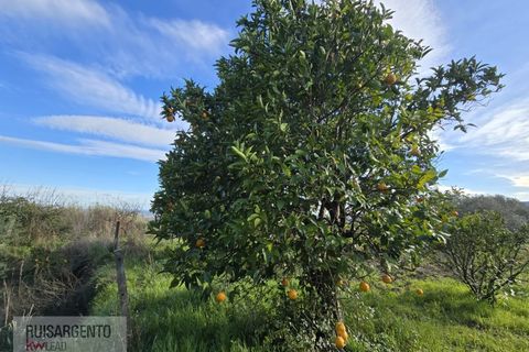 Terra a Alpedrinha, Castelo Branco, Alpedrinha - € 55.000 | Ref: SÒL_249RS140326 - foto 28