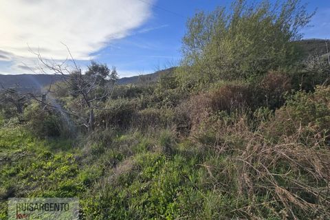 Terra a Alpedrinha, Castelo Branco, Alpedrinha - € 55.000 | Ref: SÒL_249RS140326 - foto 29