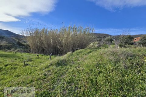 Terra a Alpedrinha, Castelo Branco, Alpedrinha - € 55.000 | Ref: SÒL_249RS140326 - foto 31