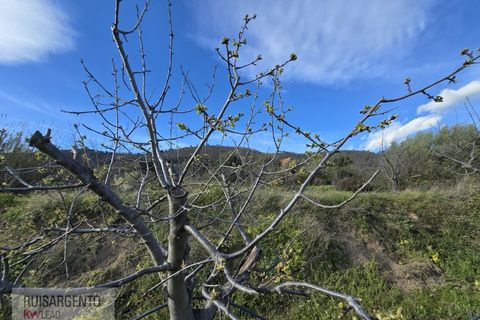 Terra a Alpedrinha, Castelo Branco, Alpedrinha - € 55.000 | Ref: SÒL_249RS140326 - foto 32