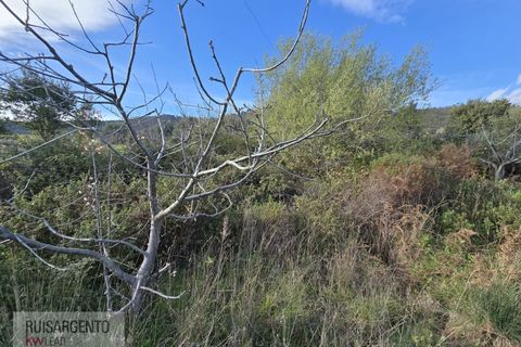 Terra a Alpedrinha, Castelo Branco, Alpedrinha - € 55.000 | Ref: SÒL_249RS140326 - foto 33