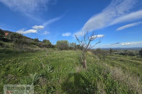 Terra a Alpedrinha, Castelo Branco, Alpedrinha - € 55.000 | Ref: SÒL_249RS140326 - foto 34
