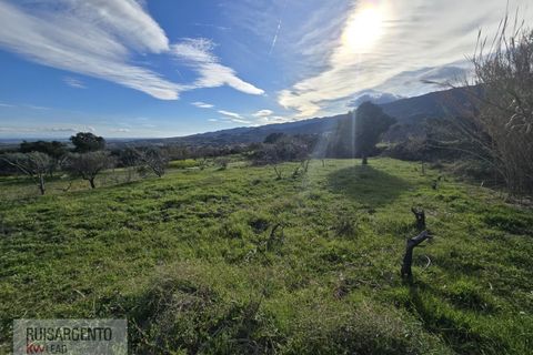 Terra a Alpedrinha, Castelo Branco, Alpedrinha - € 55.000 | Ref: SÒL_249RS140326 - foto 36