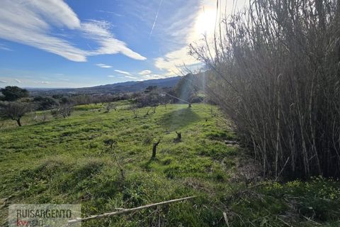 Terra a Alpedrinha, Castelo Branco, Alpedrinha - € 55.000 | Ref: SÒL_249RS140326 - foto 37
