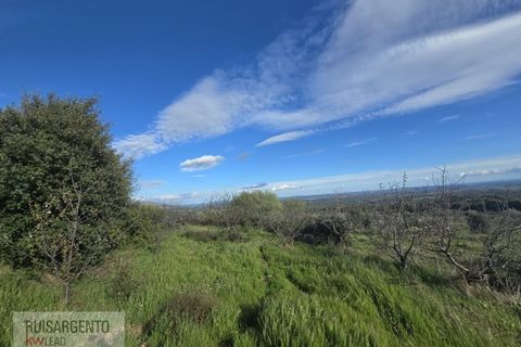 Terra a Alpedrinha, Castelo Branco, Alpedrinha - € 55.000 | Ref: SÒL_249RS140326 - foto 38