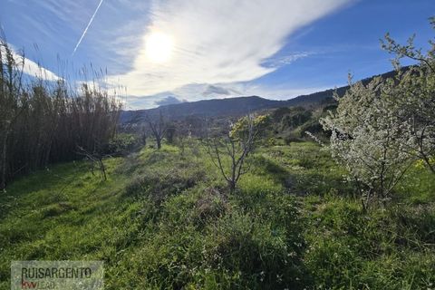 Terra a Alpedrinha, Castelo Branco, Alpedrinha - € 55.000 | Ref: SÒL_249RS140326 - foto 39