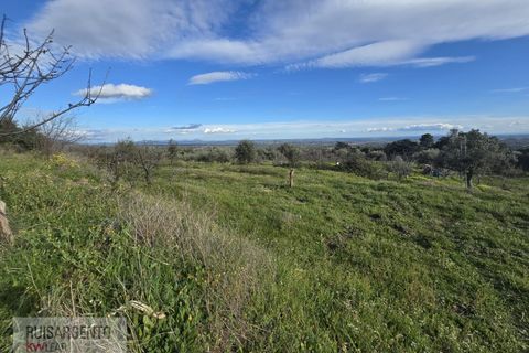 Terra a Alpedrinha, Castelo Branco, Alpedrinha - € 55.000 | Ref: SÒL_249RS140326 - foto 40
