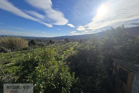 Terra a Alpedrinha, Castelo Branco, Alpedrinha - € 55.000 | Ref: SÒL_249RS140326 - foto 41