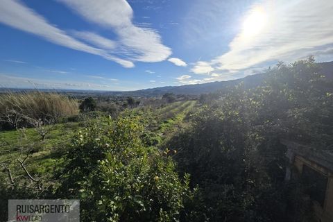 Terra a Alpedrinha, Castelo Branco, Alpedrinha - € 55.000 | Ref: SÒL_249RS140326 - foto 43