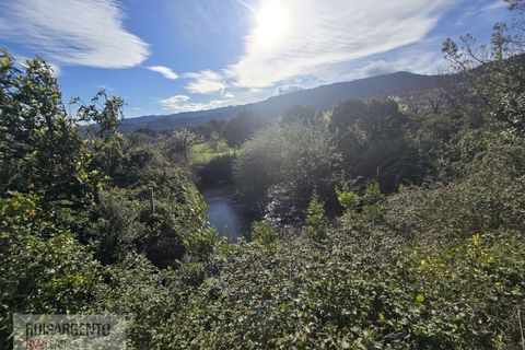 Terra a Alpedrinha, Castelo Branco, Alpedrinha - € 55.000 | Ref: SÒL_249RS140326 - foto 44