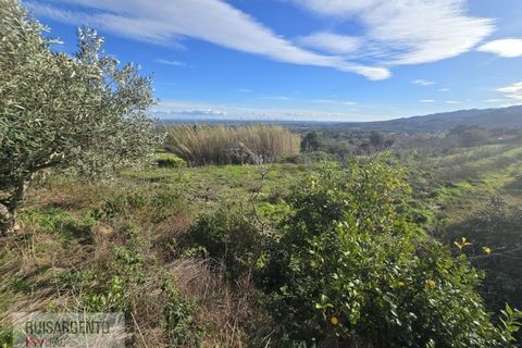 Terra a Alpedrinha, Castelo Branco, Alpedrinha - € 55.000 | Ref: SÒL_249RS140326 - foto 45