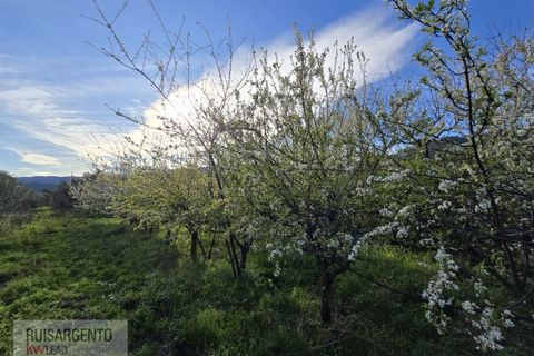 Terra a Alpedrinha, Castelo Branco, Alpedrinha - € 55.000 | Ref: SÒL_249RS140326 - foto 49