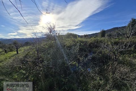 Terra a Alpedrinha, Castelo Branco, Alpedrinha - € 55.000 | Ref: SÒL_249RS140326 - foto 50