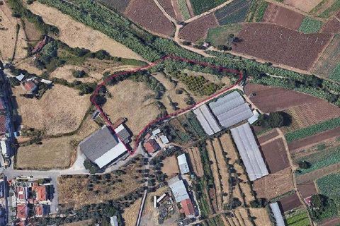 Helårsgrund i Loures, Lisbon, Loures - € 1.700.000 | Ref: C0221-03862 - foto 2