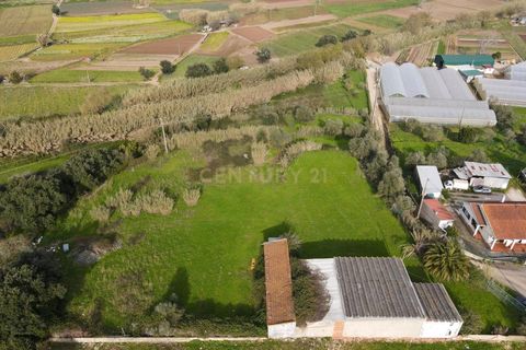 Helårsgrund i Loures, Lisbon, Loures - € 1.700.000 | Ref: C0221-03862 - foto 10