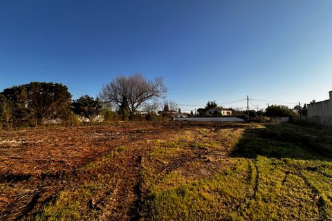 Terra a Meynes, Gard, Meynes - € 115.000 | Ref: S1TMJ9 - foto 2