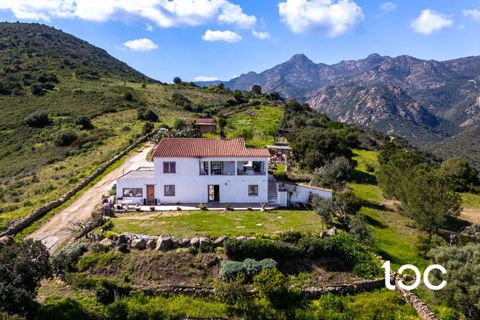 Villa i San Teodoro, Sassari, San Teodoro - € 1.500.000 | Ref: ST1294 - foto 4