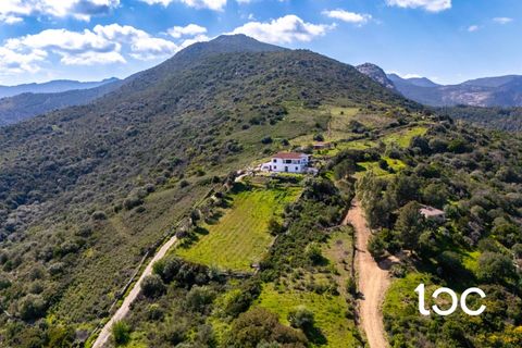 Villa i San Teodoro, Sassari, San Teodoro - € 1.500.000 | Ref: ST1294 - foto 5