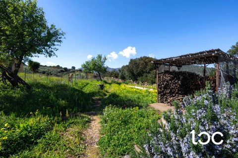 Villa i San Teodoro, Sassari, San Teodoro - € 1.500.000 | Ref: ST1294 - foto 30