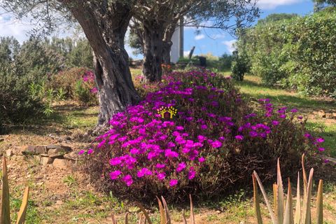 Villa i Tavira, Faro, Tavira - € 825.000 | Ref: LTH217 - foto 45