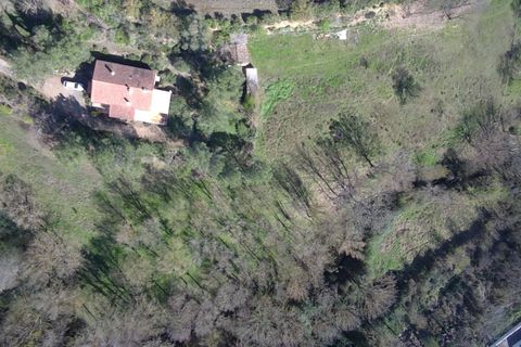 Villa i Limoux, Aude, Limoux - € 370.000 | Ref: 9340 - foto 20
