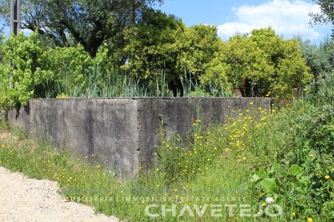 Villa a Tomar, Santarem, Tomar - € 285.000 | Ref: 516/26 - foto 35