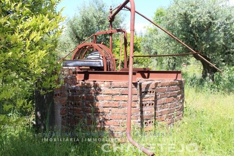 Villa a Tomar, Santarem, Tomar - € 285.000 | Ref: 516/26 - foto 36