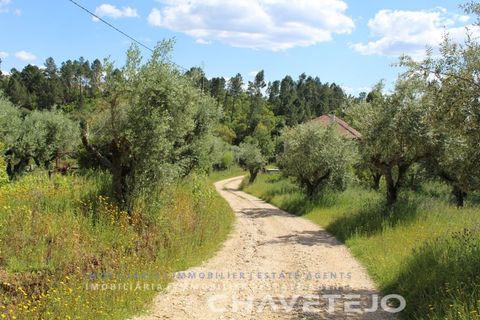 Villa a Tomar, Santarem, Tomar - € 285.000 | Ref: 516/26 - foto 37