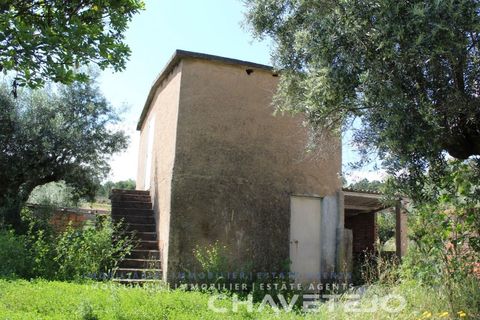 Villa a Tomar, Santarem, Tomar - € 285.000 | Ref: 516/26 - foto 38