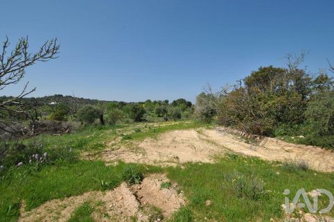 Helårsgrund i Albufeira, Faro, Albufeira - € 50.000 | Ref: 837544 - foto 3