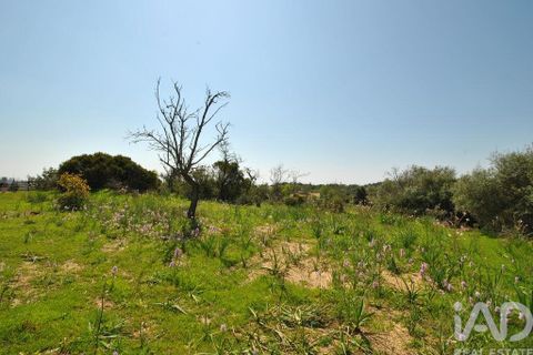 Helårsgrund i Albufeira, Faro, Albufeira - € 50.000 | Ref: 837544 - foto 7