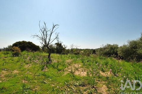 Helårsgrund i Albufeira, Faro, Albufeira - € 50.000 | Ref: 837544 - foto 8