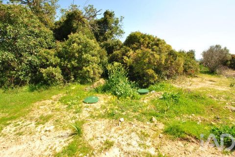Helårsgrund i Albufeira, Faro, Albufeira - € 50.000 | Ref: 837544 - foto 20