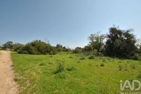 Helårsgrund i Albufeira, Faro, Albufeira - € 50.000 | Ref: 837544 - foto 22