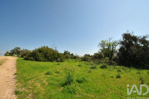 Helårsgrund i Albufeira, Faro, Albufeira - € 50.000 | Ref: 837544 - foto 23