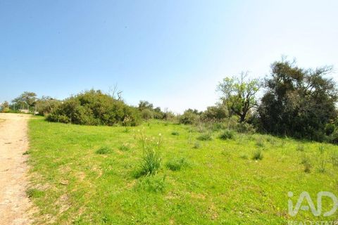Helårsgrund i Albufeira, Faro, Albufeira - € 50.000 | Ref: 837544 - foto 24