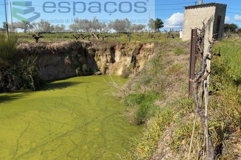Terra a Fundao, Castelo Branco, Fundao - € 57.000 | Ref: 5560/CP-AF - foto 2