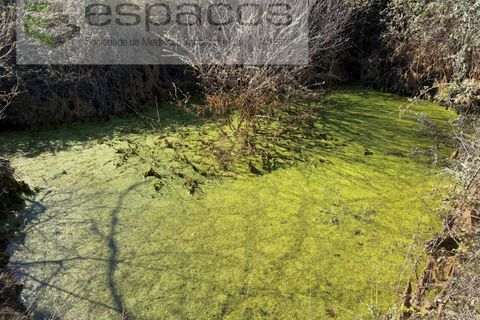 Terra a Fundao, Castelo Branco, Fundao - € 57.000 | Ref: 5560/CP-AF - foto 3