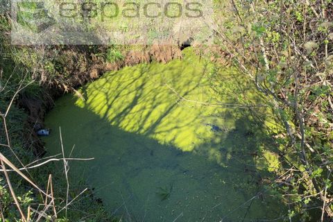 Terra a Fundao, Castelo Branco, Fundao - € 57.000 | Ref: 5560/CP-AF - foto 4