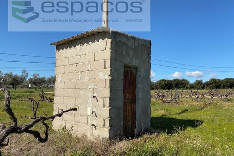 Terra a Fundao, Castelo Branco, Fundao - € 57.000 | Ref: 5560/CP-AF - foto 6