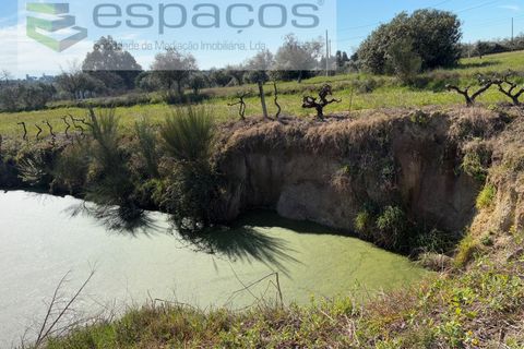 Terra a Fundao, Castelo Branco, Fundao - € 57.000 | Ref: 5560/CP-AF - foto 7