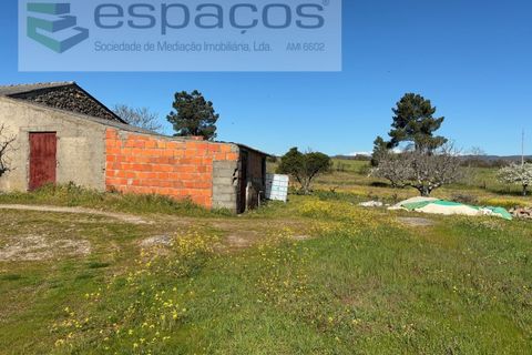 Terra a Fundao, Castelo Branco, Fundao - € 57.000 | Ref: 5560/CP-AF - foto 8
