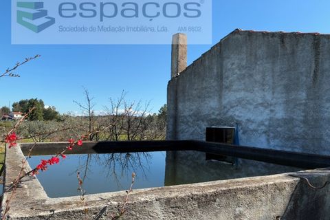 Terra a Fundao, Castelo Branco, Fundao - € 57.000 | Ref: 5560/CP-AF - foto 9