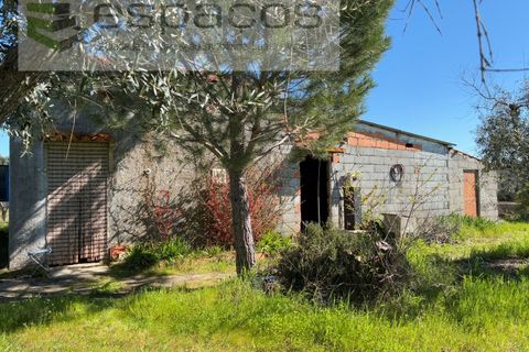 Terra a Fundao, Castelo Branco, Fundao - € 57.000 | Ref: 5560/CP-AF - foto 10