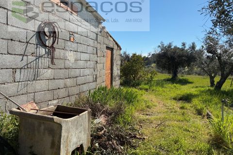 Terra a Fundao, Castelo Branco, Fundao - € 57.000 | Ref: 5560/CP-AF - foto 11