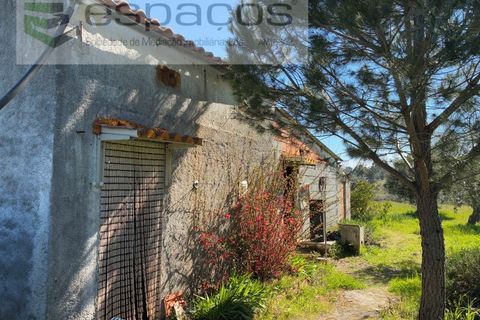 Terra a Fundao, Castelo Branco, Fundao - € 57.000 | Ref: 5560/CP-AF - foto 12